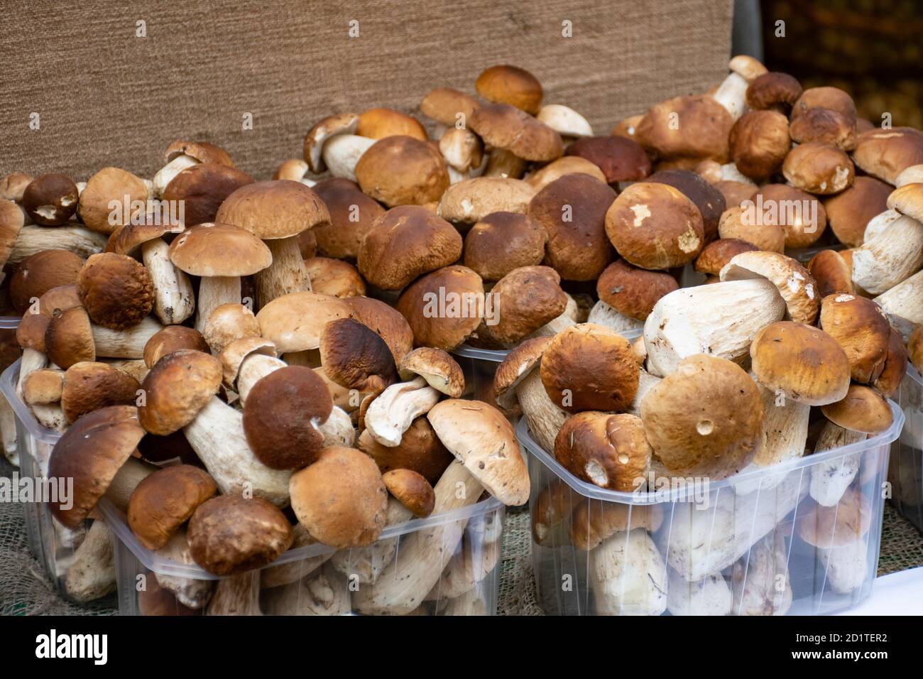 Funghi porcini boletus in vendita in piccoli cestini in un mercato alimentare di strada, vendemmia autunnale Foto Stock