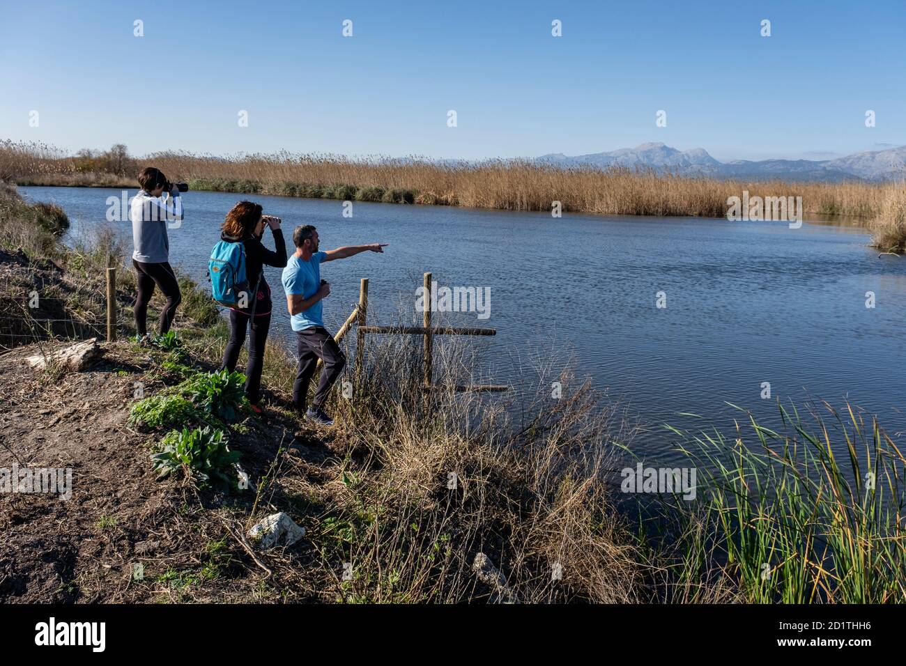 Amarador, albufera di maiorca, Maiorca, Isole Baleari, Spagna Foto Stock