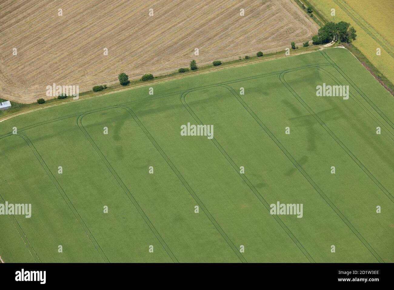 Un recinto o henge circolare successivamente preistorico, vicino a New Farm, Cambridgeshire, 2014. Vista aerea. Foto Stock
