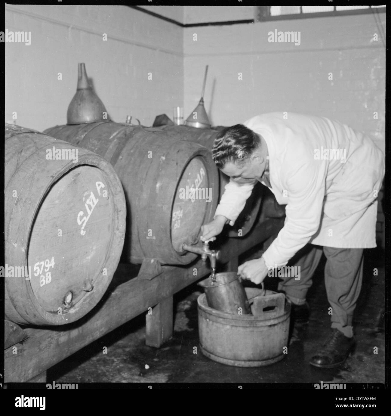 Un uomo che preleva un campione di birra da un barile. Foto Stock Un uomo che preleva un campione di birra da un barile. Foto Stock