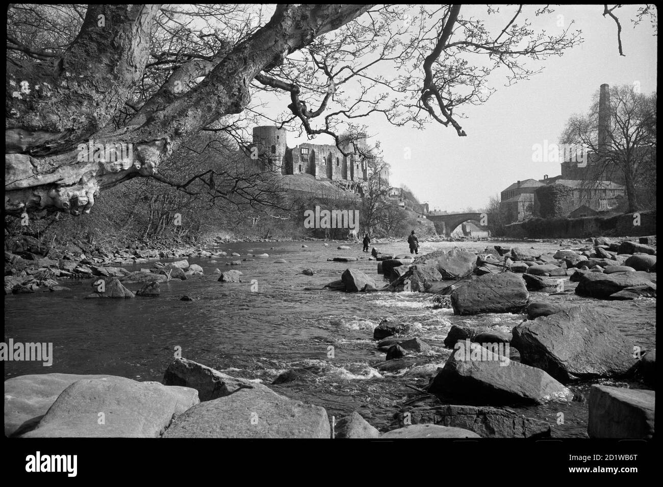 Barnard Castle, The Scar, Barnard Castle, County Durham. Una vista generale del Castello di Barnard, visto dal fiume Tees con due pescatori in primo piano. Foto Stock
