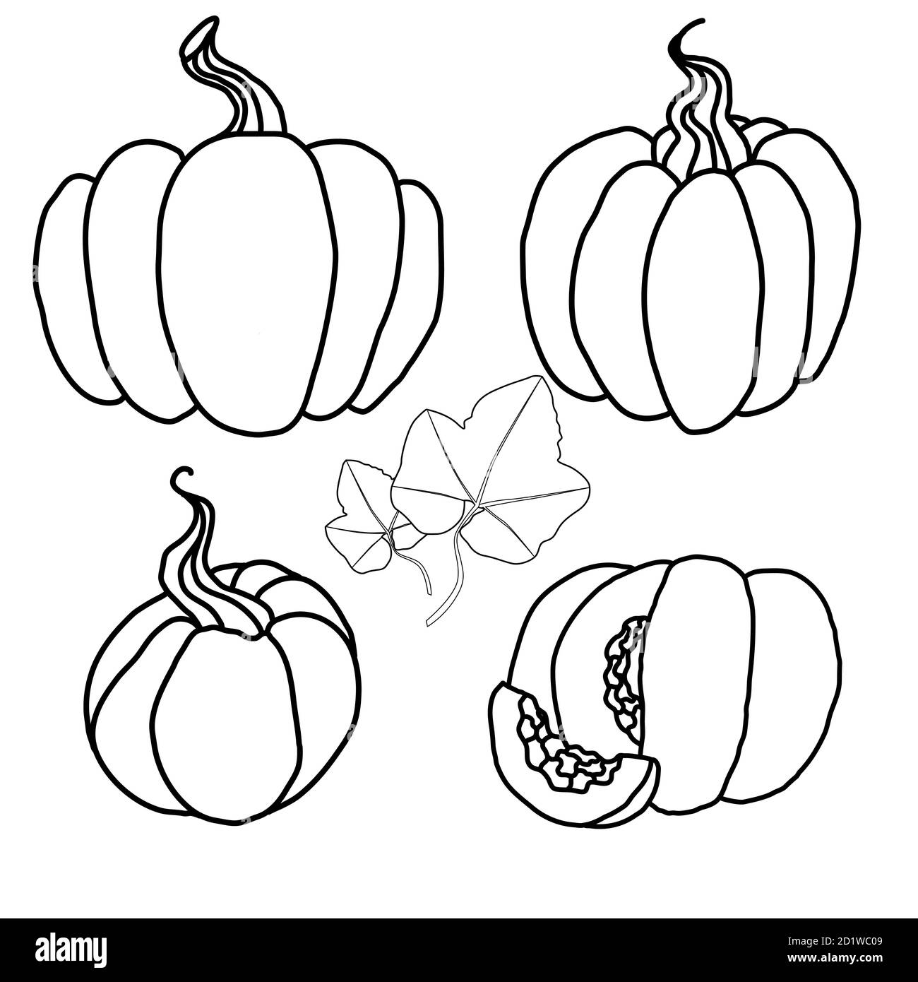 Set di cartoni animati diversi zucche con fogliame. Vendemmia autunnale. Delizie line art per il Ringraziamento. Elemento vettoriale monocromatico per ricette, anima Illustrazione Vettoriale