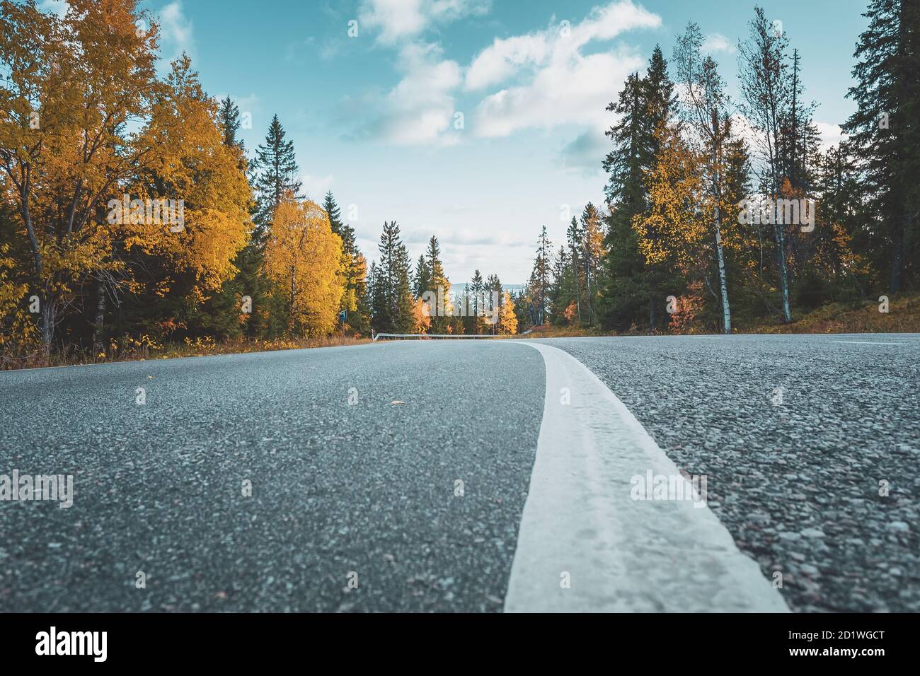 Vista della strada autunnale dalla cabina dell'auto. Foto di Sotkamo, Finlandia. Foto Stock