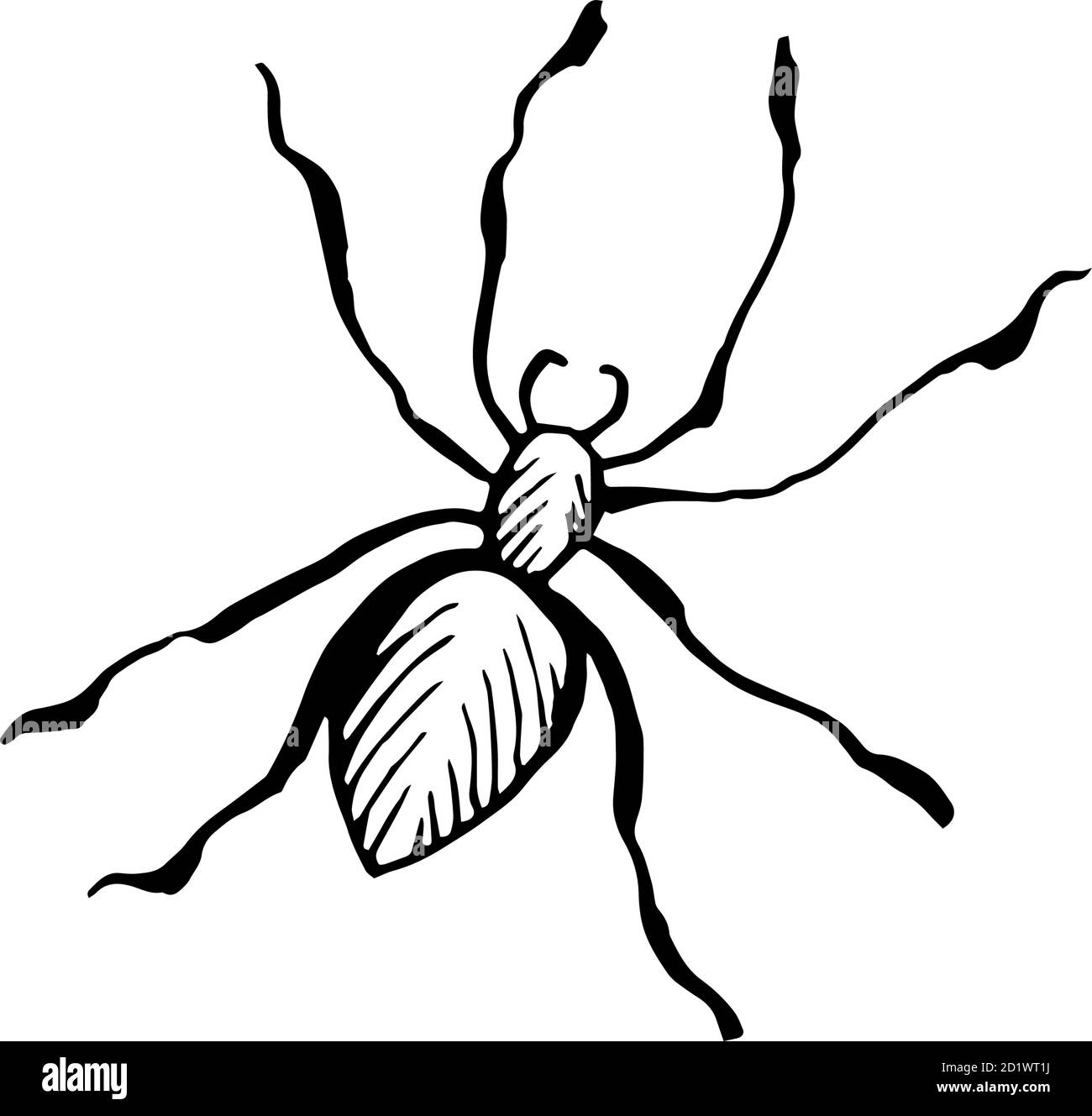 Halloween ragno doodle elemento. Illustrazione vettoriale isolata di insetto Illustrazione Vettoriale