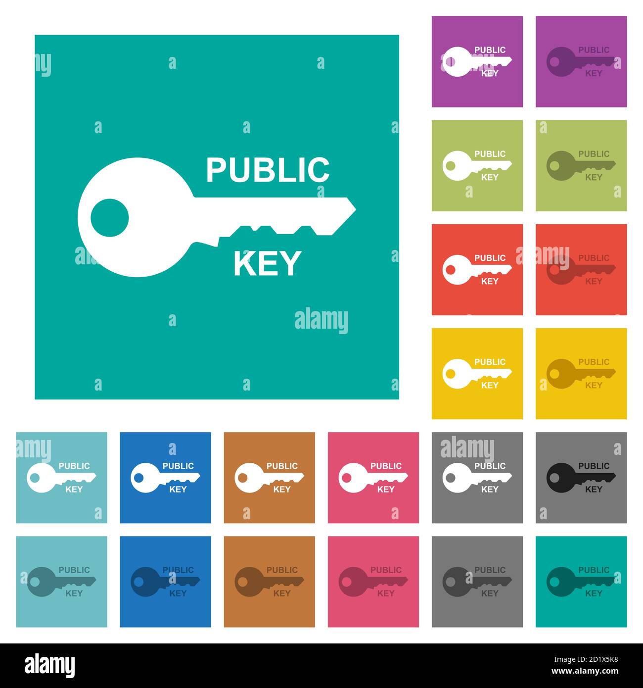 Icone piatte multicolore con chiave pubblica su sfondi quadrati. Incluse variazioni delle icone bianche e più scure per il passaggio del mouse o gli effetti attivi. Illustrazione Vettoriale