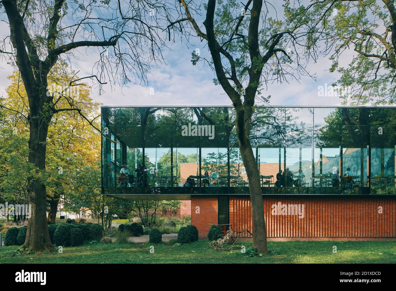 Il Whitworth Café, conosciuto anche come The Cafe in the Trees, fa parte dell'estensione in vetro e mattoni della Whitworth Gallery di Manchester, Inghilterra, Regno Unito. Completato nel 2015. Foto Stock