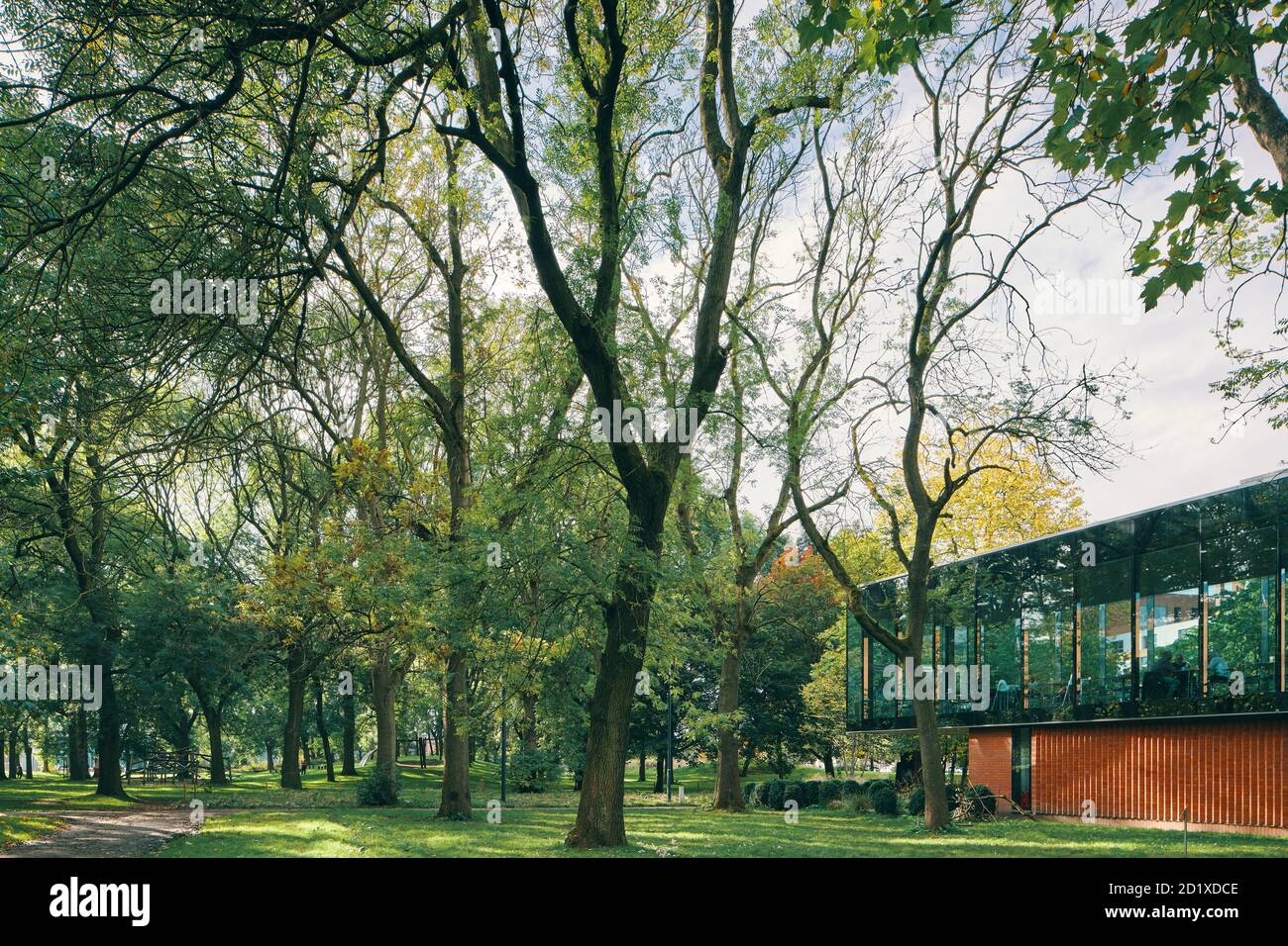 Il Whitworth Café, conosciuto anche come The Cafe in the Trees, fa parte dell'estensione in vetro e mattoni della Whitworth Gallery di Manchester, Inghilterra, Regno Unito. Completato nel 2015. Foto Stock