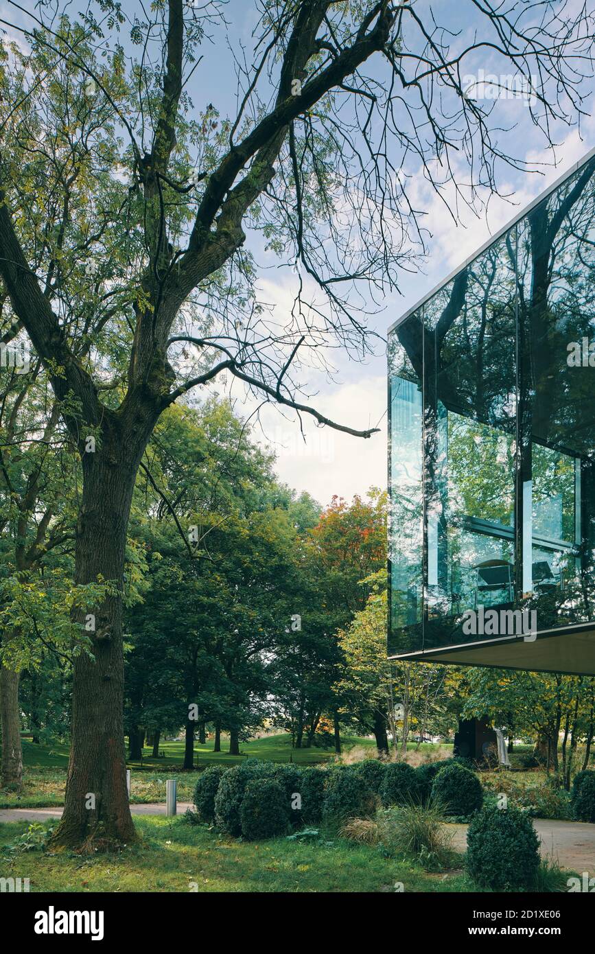 Il Whitworth Café, conosciuto anche come The Cafe in the Trees, fa parte dell'estensione in vetro e mattoni della Whitworth Gallery di Manchester, Inghilterra, Regno Unito. Completato nel 2015. Foto Stock