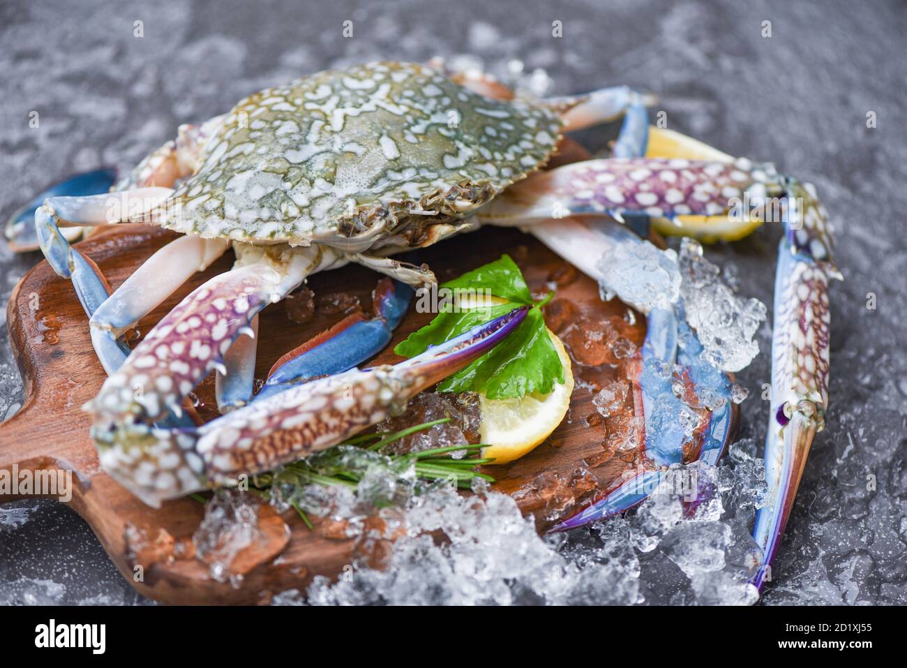 Seafood crab on ice / Fresh raw Blue Swimming Crab ocean gourmet with ice on dark background in the restaurant Foto Stock