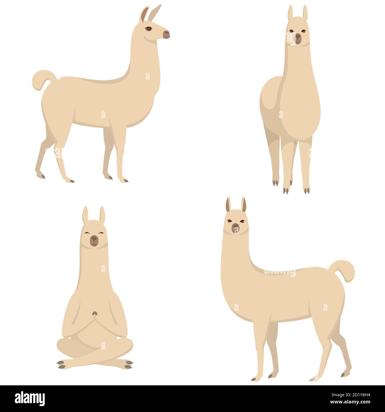 Insieme vettoriale di lama in posizioni diverse. Animali carini in stile cartoon. Illustrazione Vettoriale