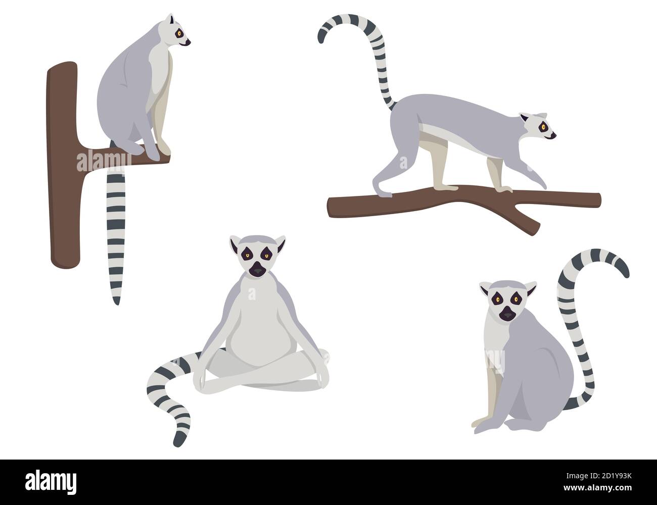 Insieme vettoriale di lemuri in pose diverse. Illustrazioni di stile piatto isolate su sfondo bianco. Illustrazione Vettoriale