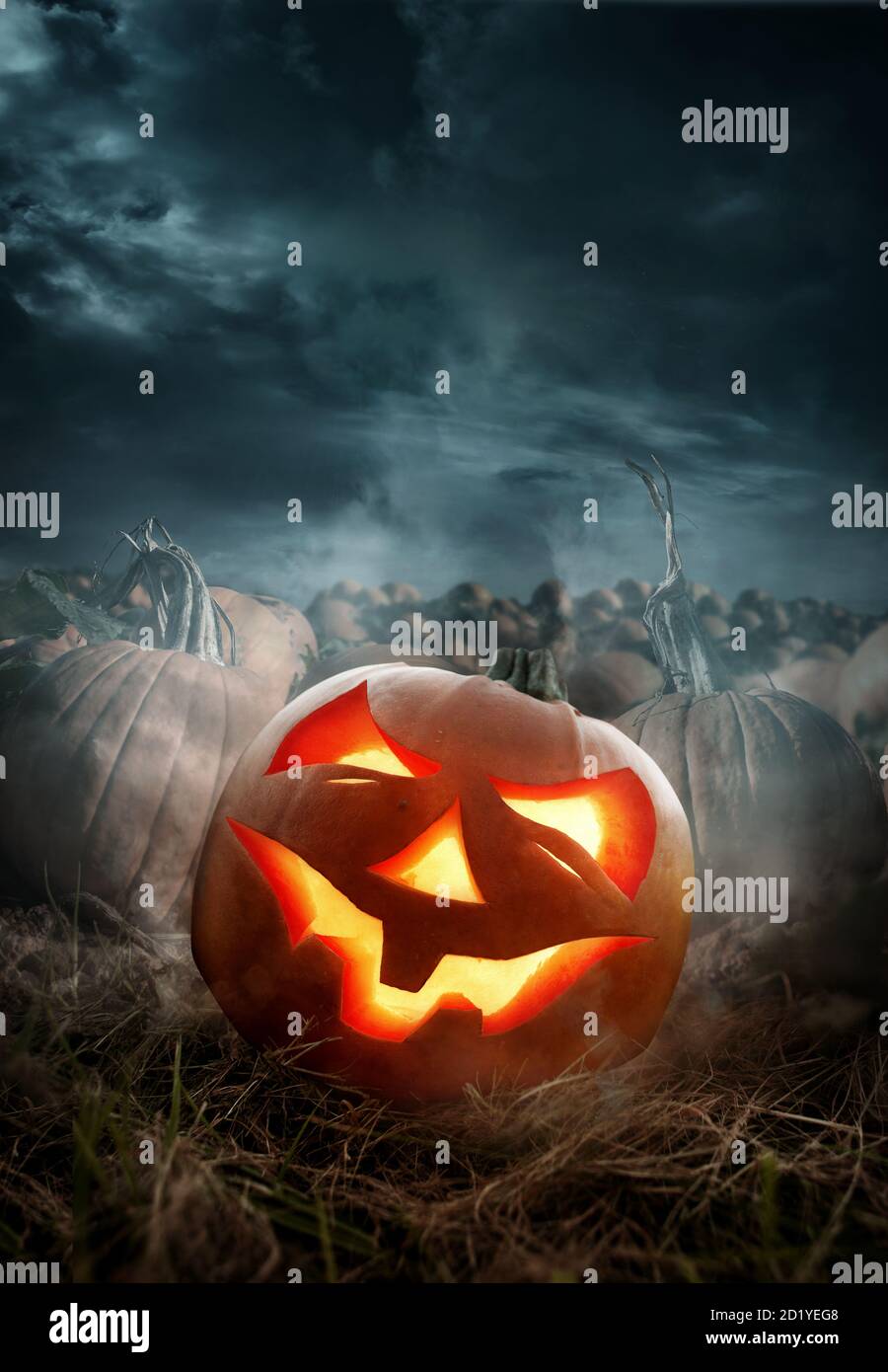 Campo di zucca di Halloween con una lanterna di Jack o di zucca scolpita incandescente di notte. Composito fotografico. Foto Stock