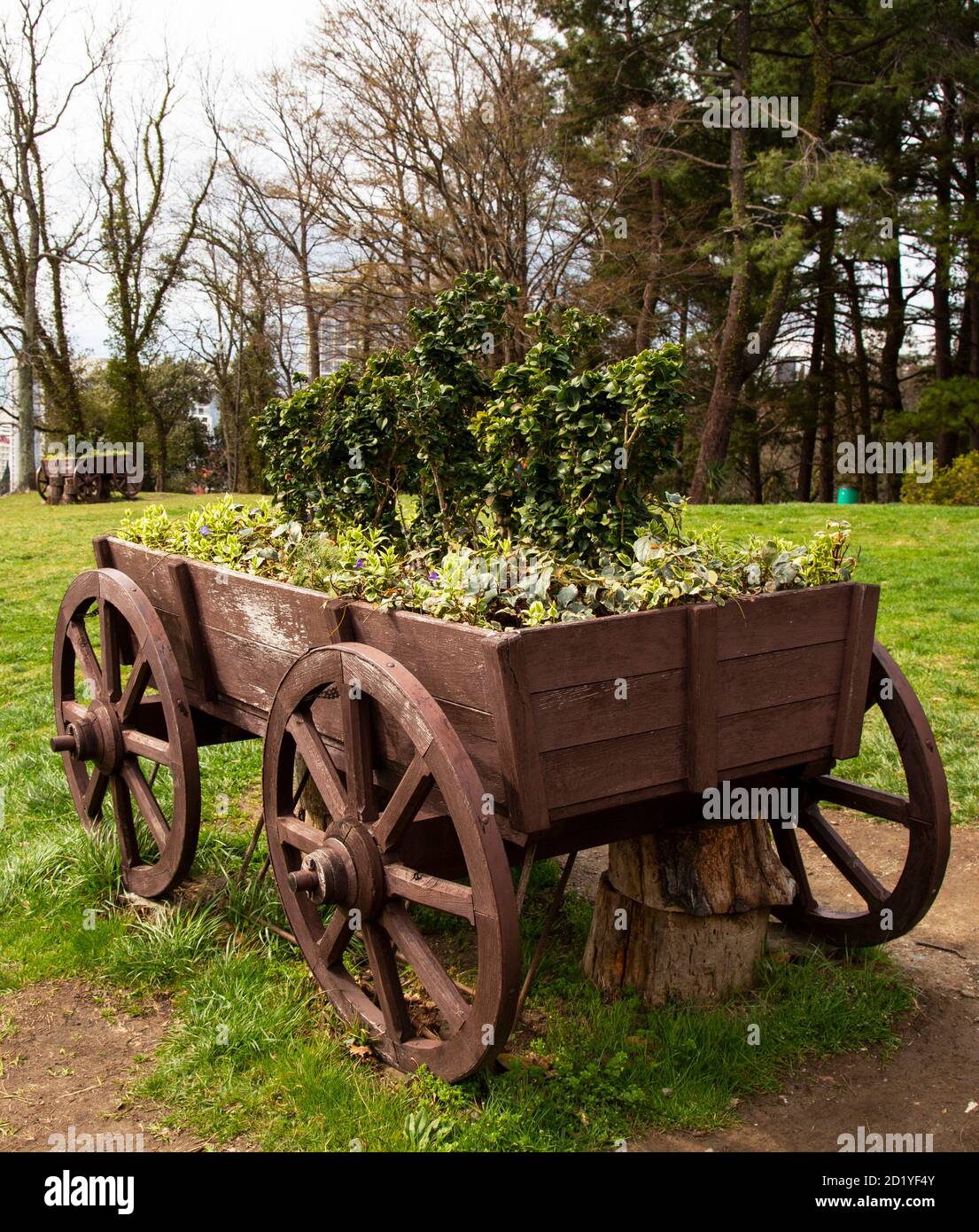 Fiori verdi su un carrello di legno piccolo decorativo del carrello come una decorazione esterna del cortile Foto Stock