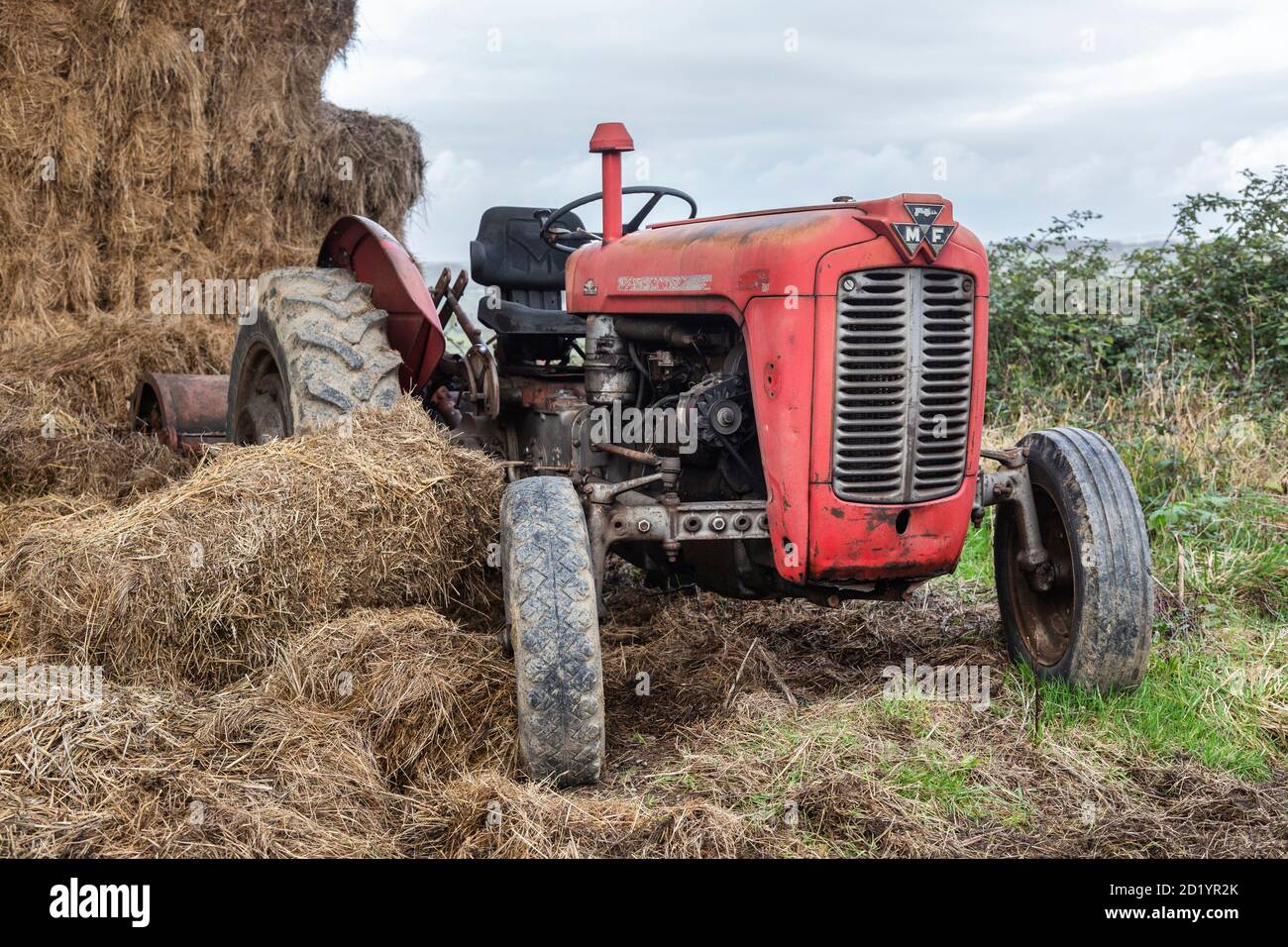Vecchio trattore in un campo in un'azienda agricola nel Somerset Foto Stock