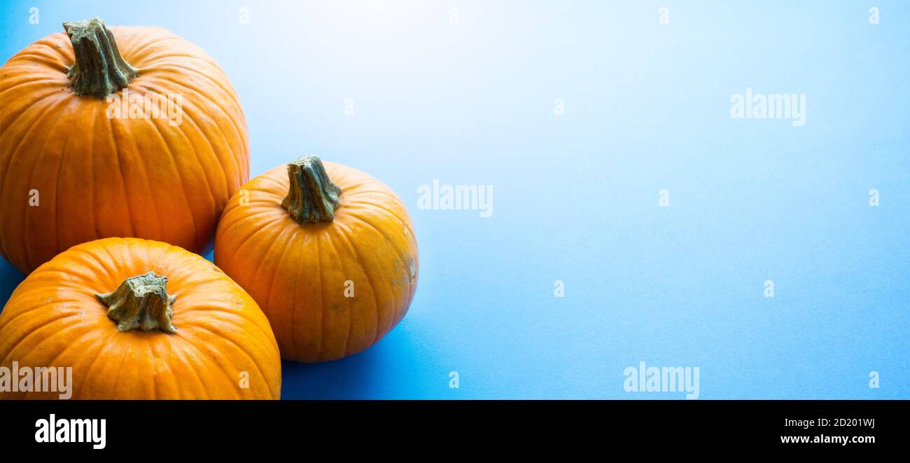 Ciao autunno; festa di ringraziamento sfondo con zucca autunno su sfondo blu Foto Stock