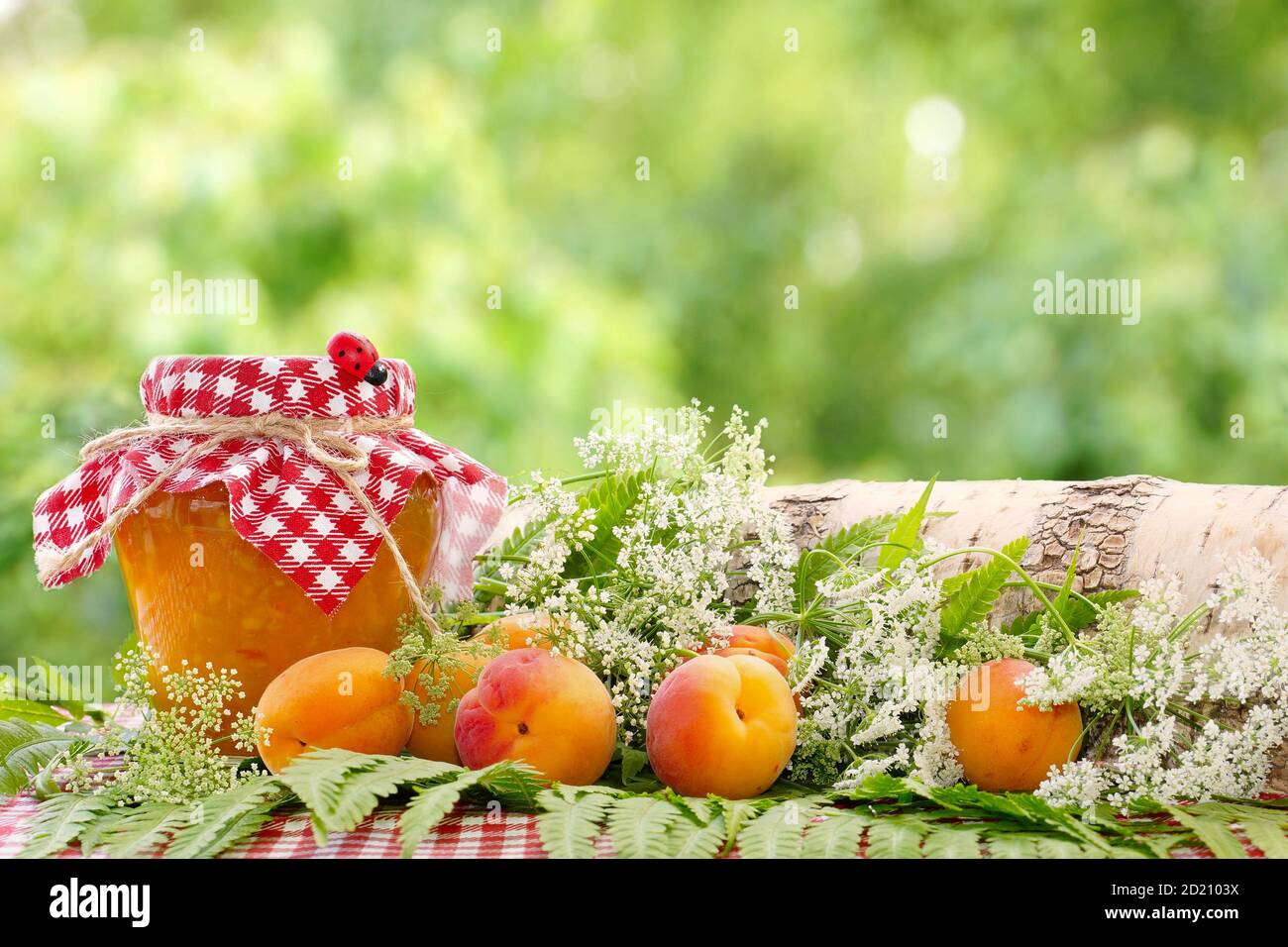Confettura di albicocche e frutti di albicocca tra erbe forestali. Sfondo verde sfocato. Estate ancora vita. Foto Stock