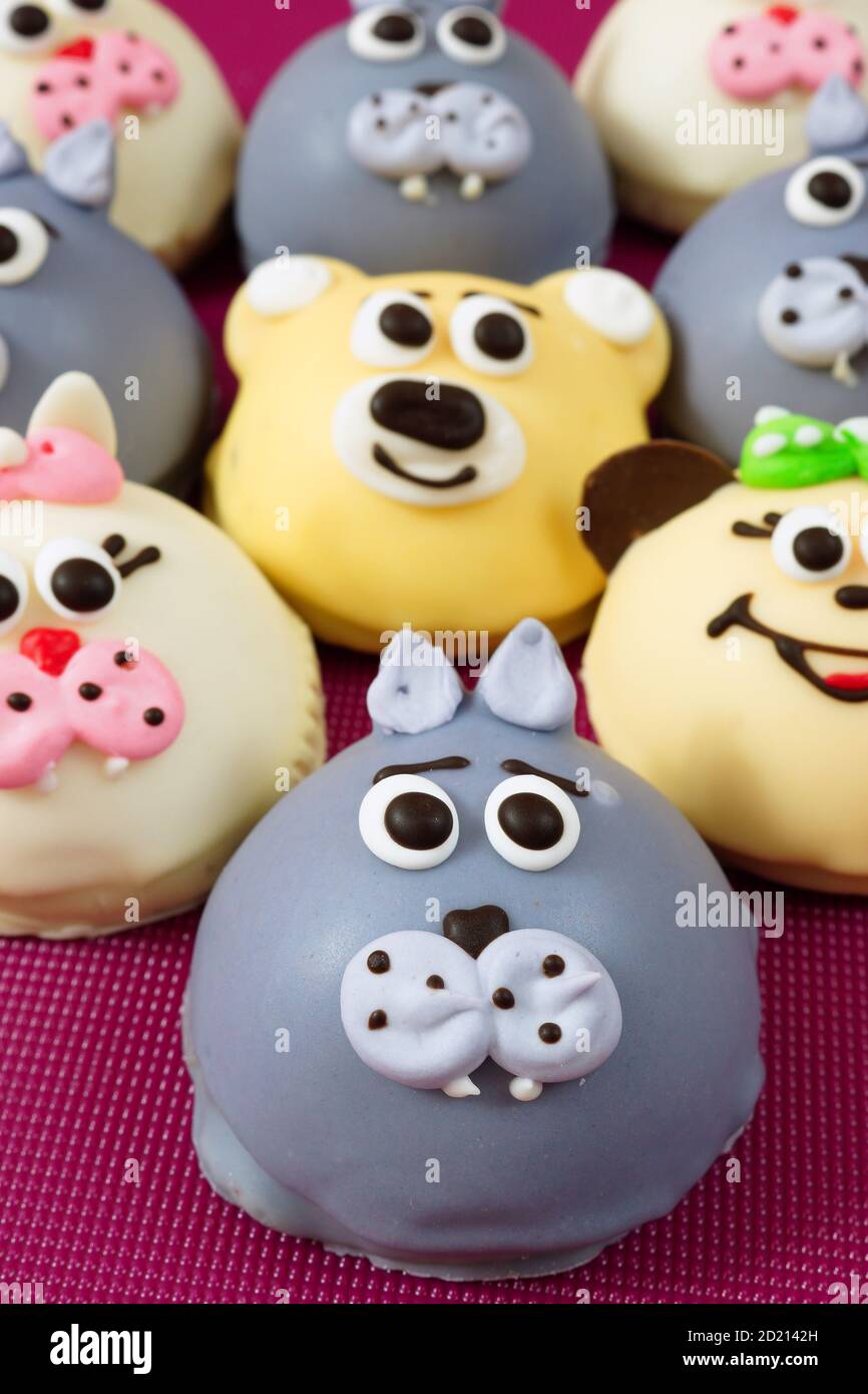 Torta sotto forma di piccoli animali. Il soufflé cotto in casa nello smalto è incorniciato a forma di museruola animale. Foto Stock