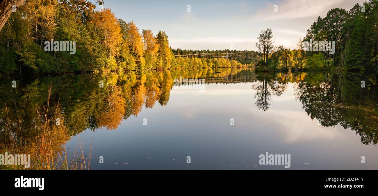 La foresta autunnale che si riflette in acqua su un Giornata d'autunno senza vento nella natura svedese durante il mese di Ottobre Foto Stock