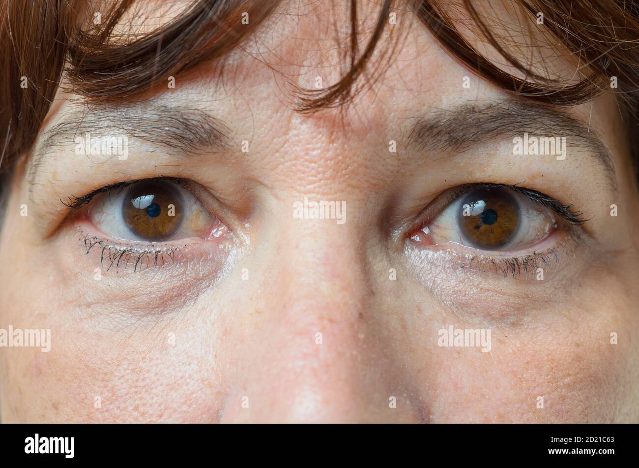 Closeup sugli occhi di una donna di mezza età bruna con la sua bocca chiusa e un'espressione seria Foto Stock