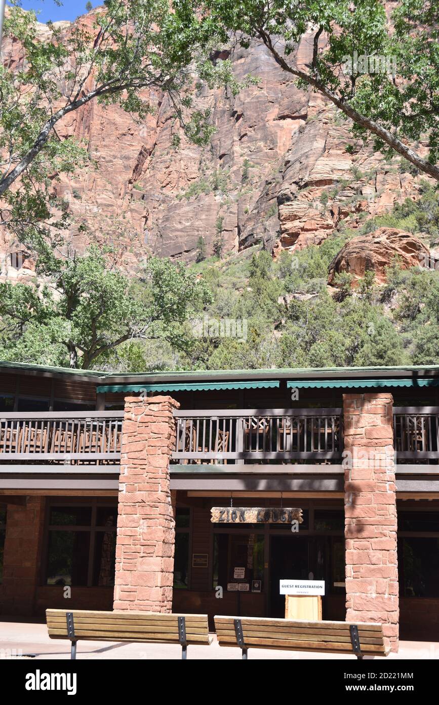 Parco nazionale di Zion, Utah. USA 8/12-15/2020. Il lussureggiante prato verde dello Zion Lodge offre agli ospiti e ai visitatori del Lodge un luogo perfetto per rilassarsi Foto Stock