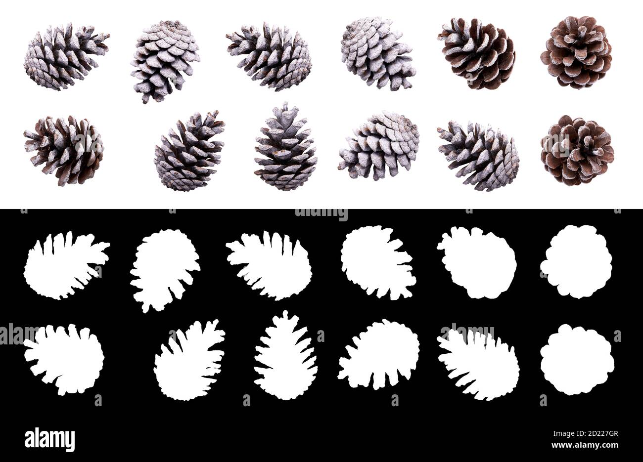 Una collezione di cono di pino ricoperto di gelo per la decorazione dell'albero di Natale isolato su uno sfondo bianco e con maschera ritagliata. Foto Stock