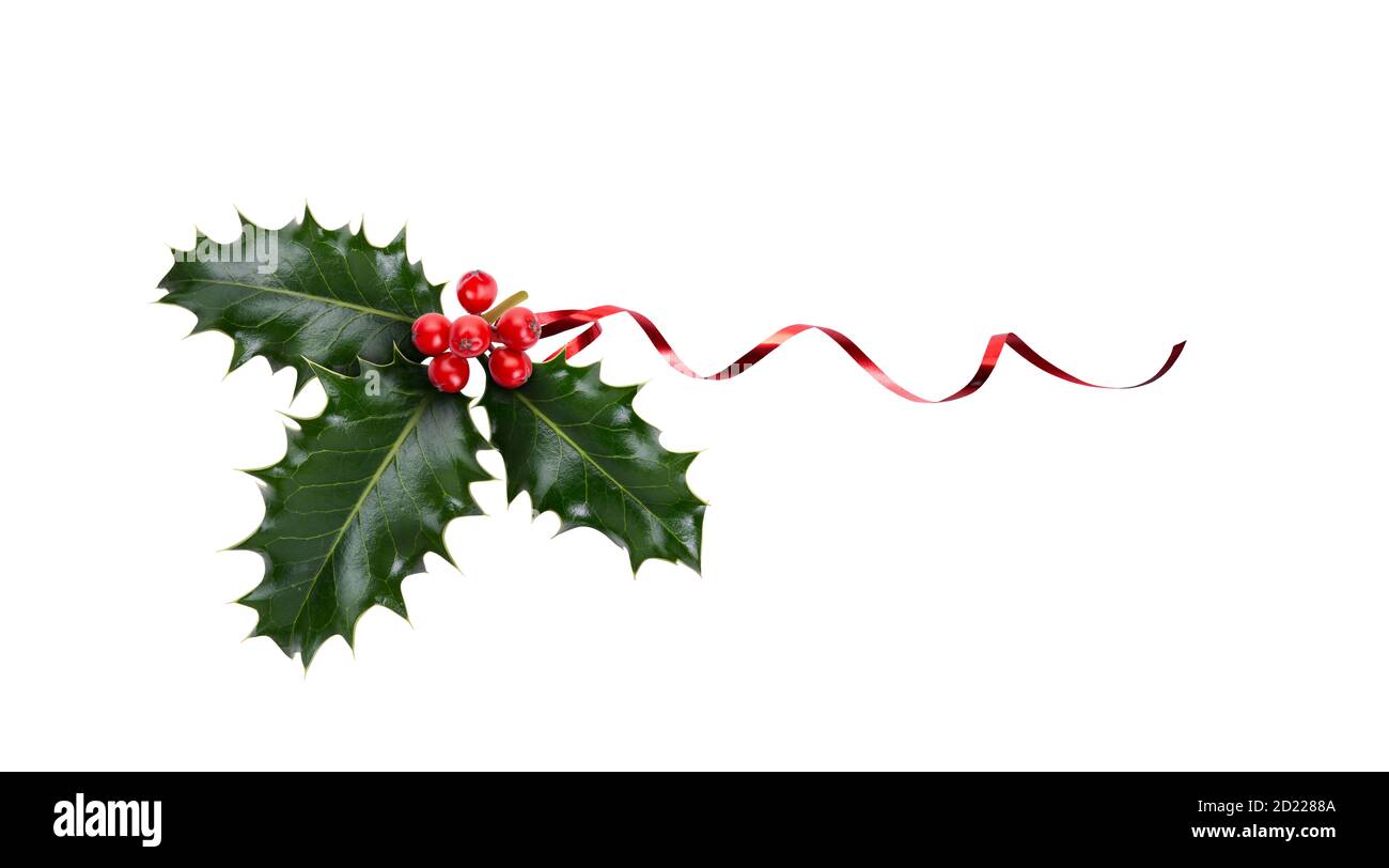 Uno sprig, tre foglie, di acino verde e bacche rosse e nastro rosso per la decorazione di Natale isolato su uno sfondo bianco. Foto Stock
