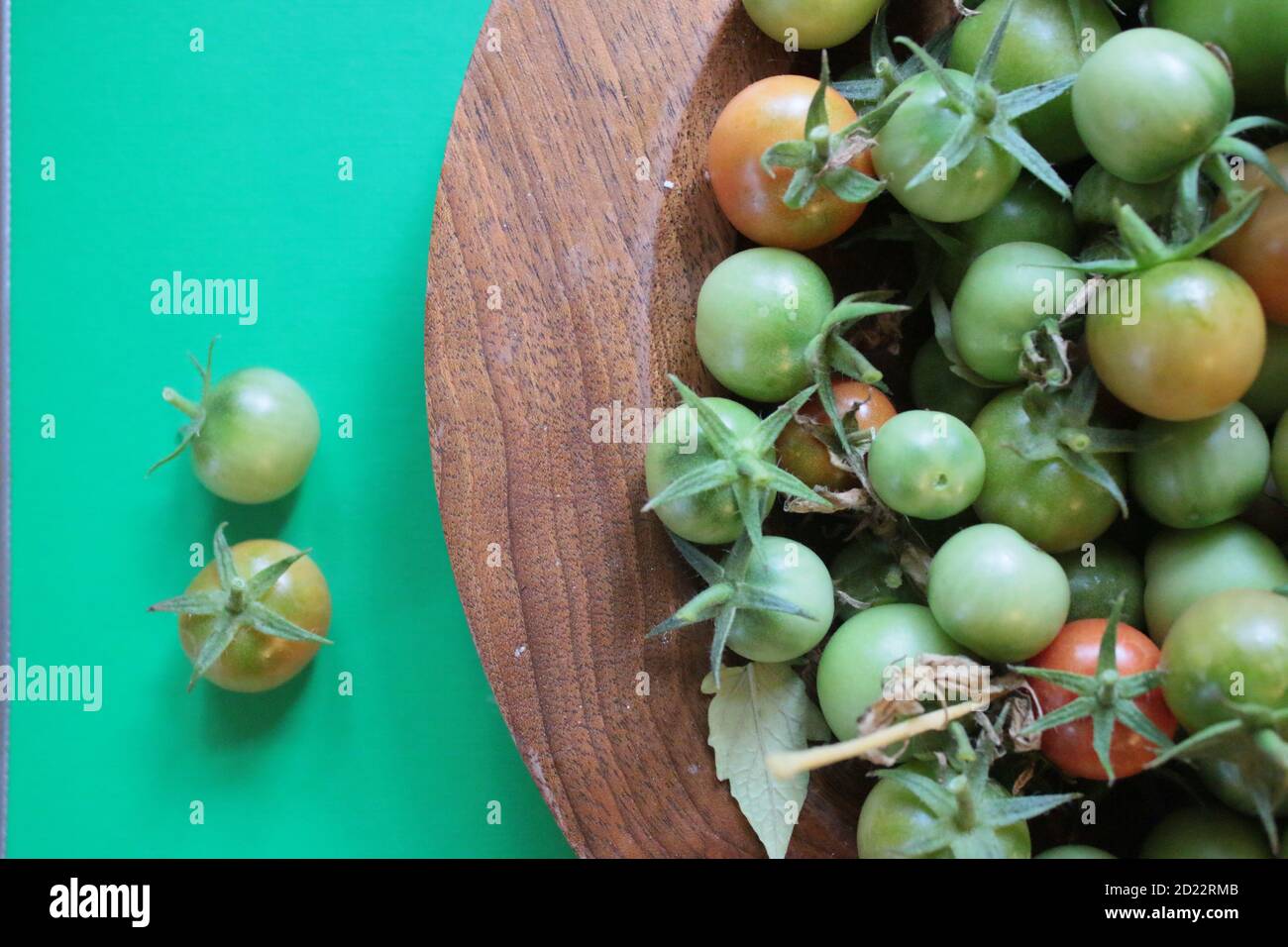 Primo piano pomodori, frutta fresca matura succosa raccolta da giardino biologico in legno artigianale ciotola interna girato su sfondo vibrante di contrasto verde Foto Stock