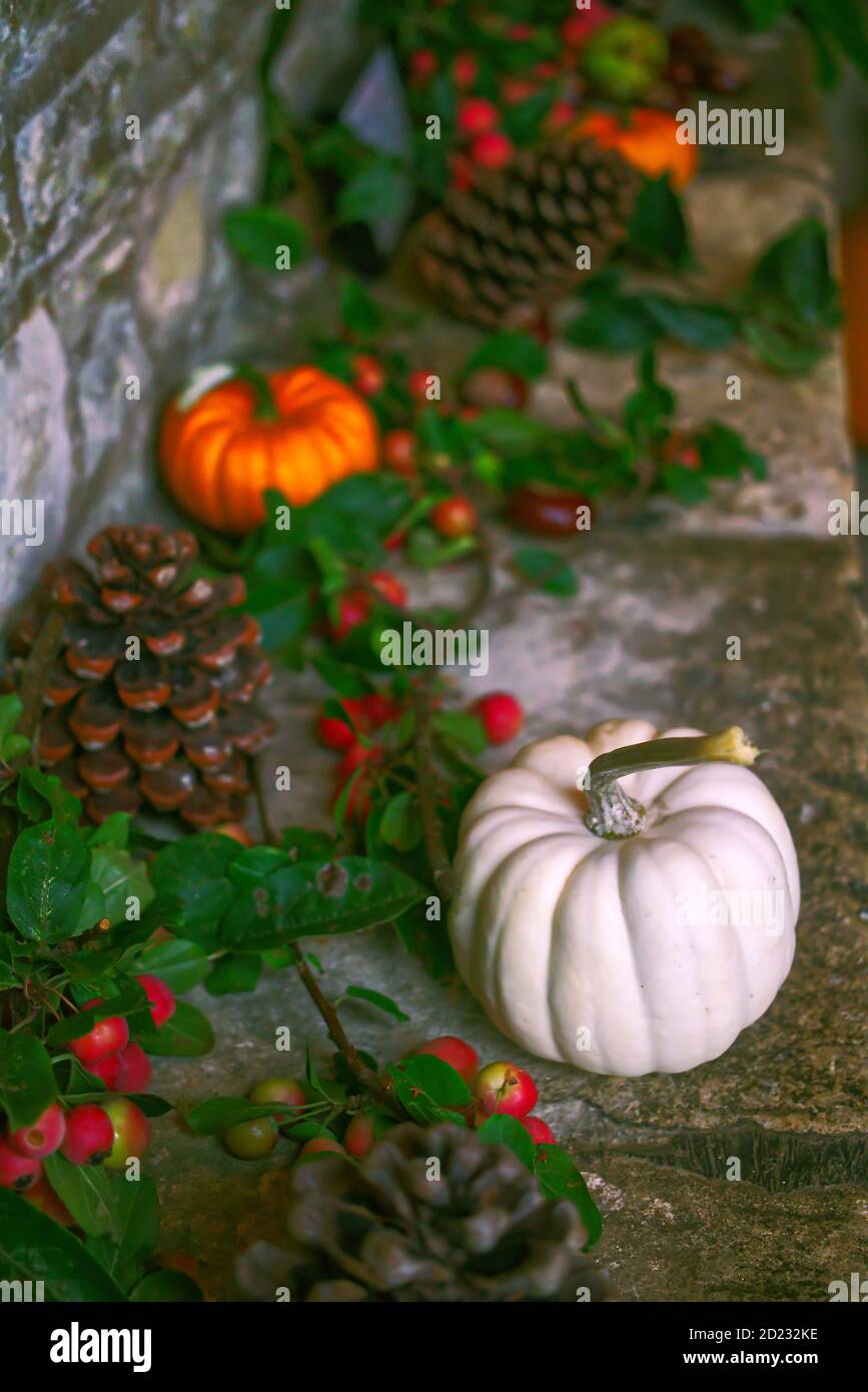 Zucche, coni di pino, bacche e altri frutti autunnali nel portico della chiesa come decorazioni per la festa del raccolto Foto Stock