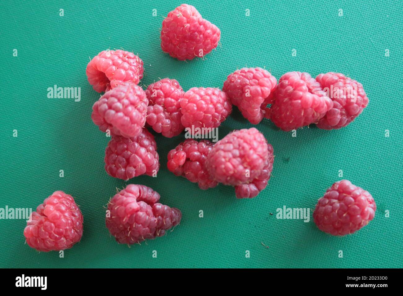 Primo piano di lamponi le bacche di frutta fresche e succose raccolte Da giardino biologico casa cespuglio cresciuto Estate a mangiare crudo in vegetariano vegan insalata pic-nic Foto Stock