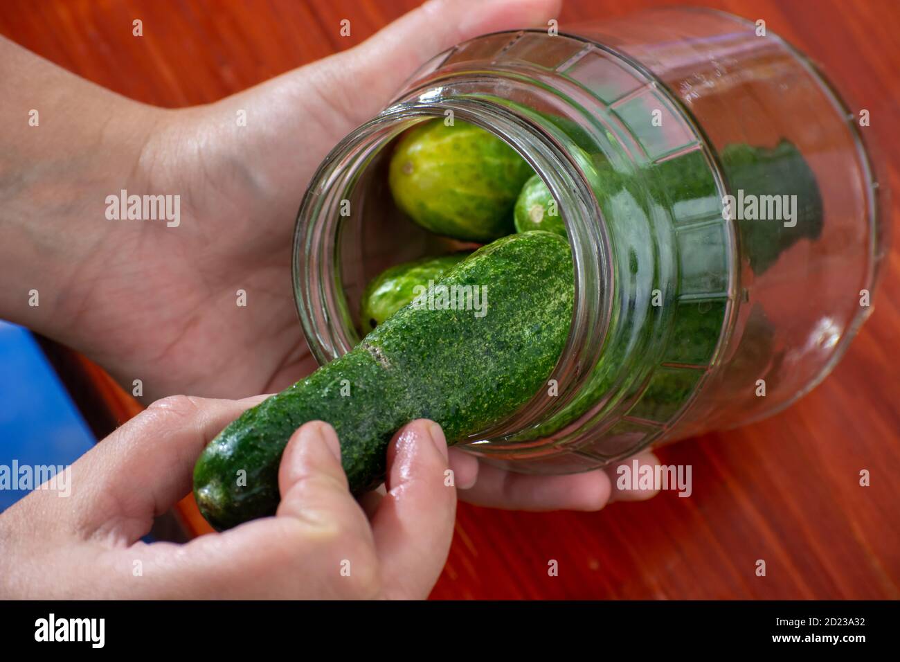 cetrioli in vasi, il processo di produzione di cetrioli sottaceto Foto Stock