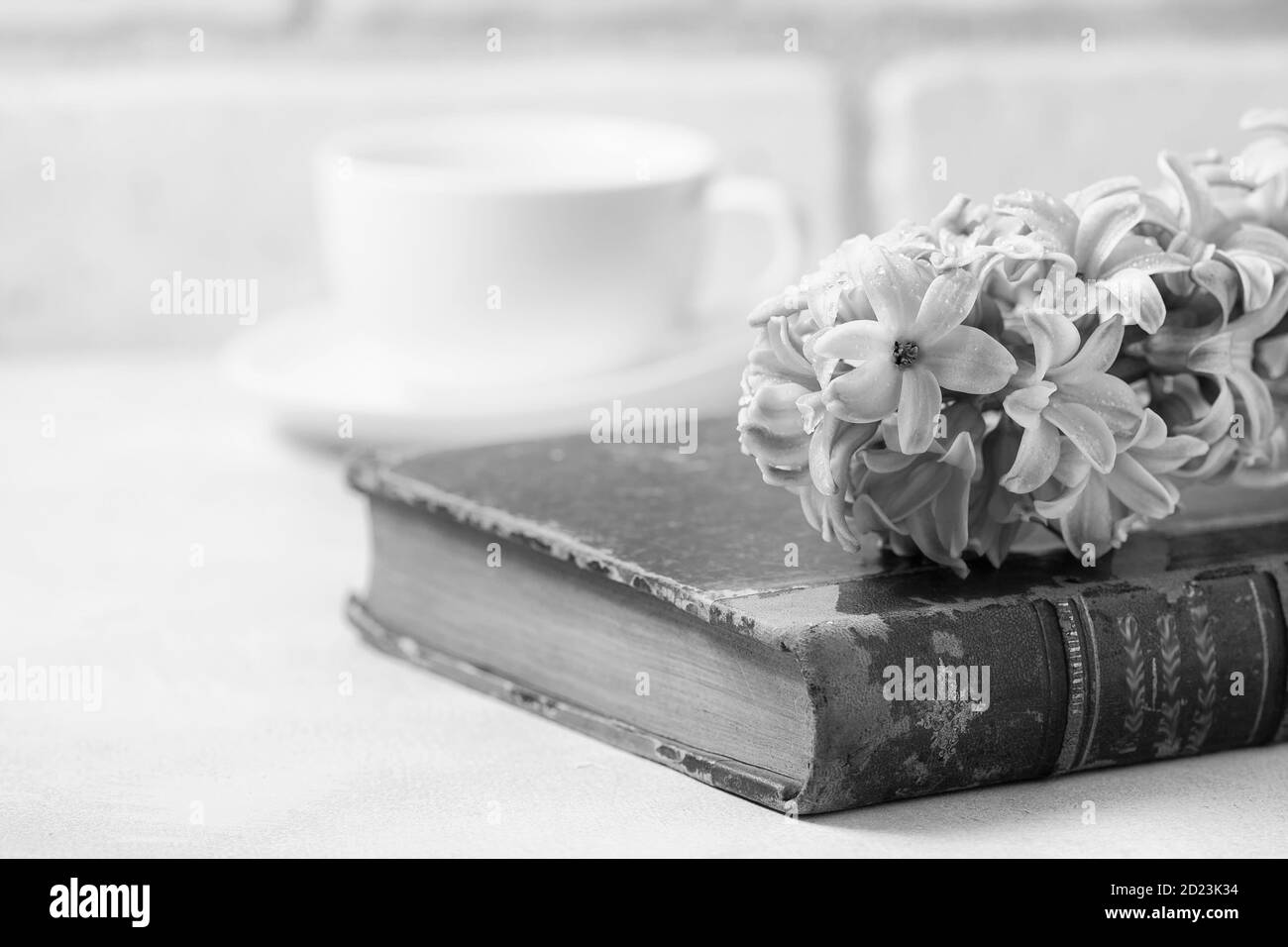 Libro antico d'epoca e giacinto su sfondo chiaro. Il concetto di nostalgia e memorie. Foto Stock
