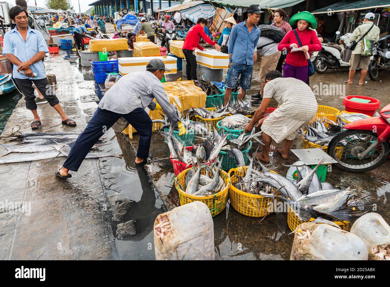 PHU QUO, VIETNAM - 06 agosto 2019: Pescatori che smistano attraverso le loro catture al porto di Phu Quoc Foto Stock