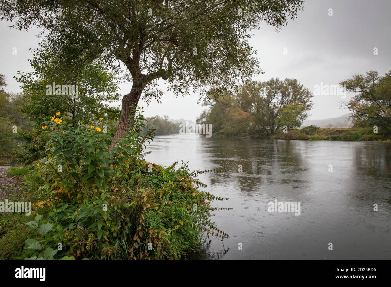 Il fiume Ruhr vicino Wetter-Wengern, giorno piovoso, Ruhr Area, Nord Reno-Westfalia, Germania. Die Ruhr bei Wetter-Wengern, Regen, Ruhrgebiet, Nordrhein- Foto Stock