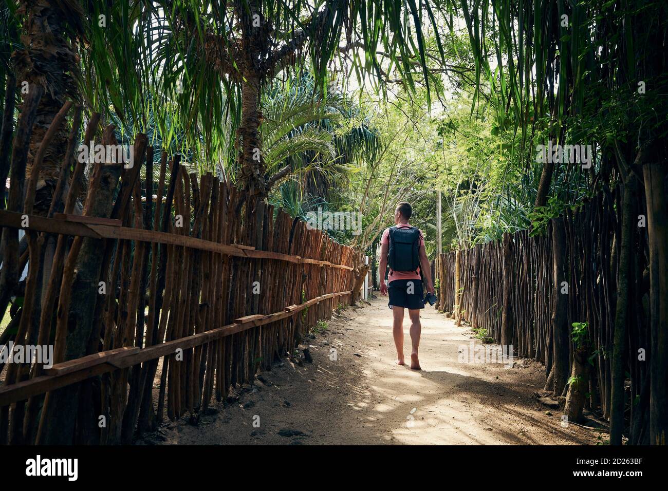 Uomo che cammina sul sentiero tra palme. Solo viaggiatore in villaggio in Sri Lanka. Foto Stock