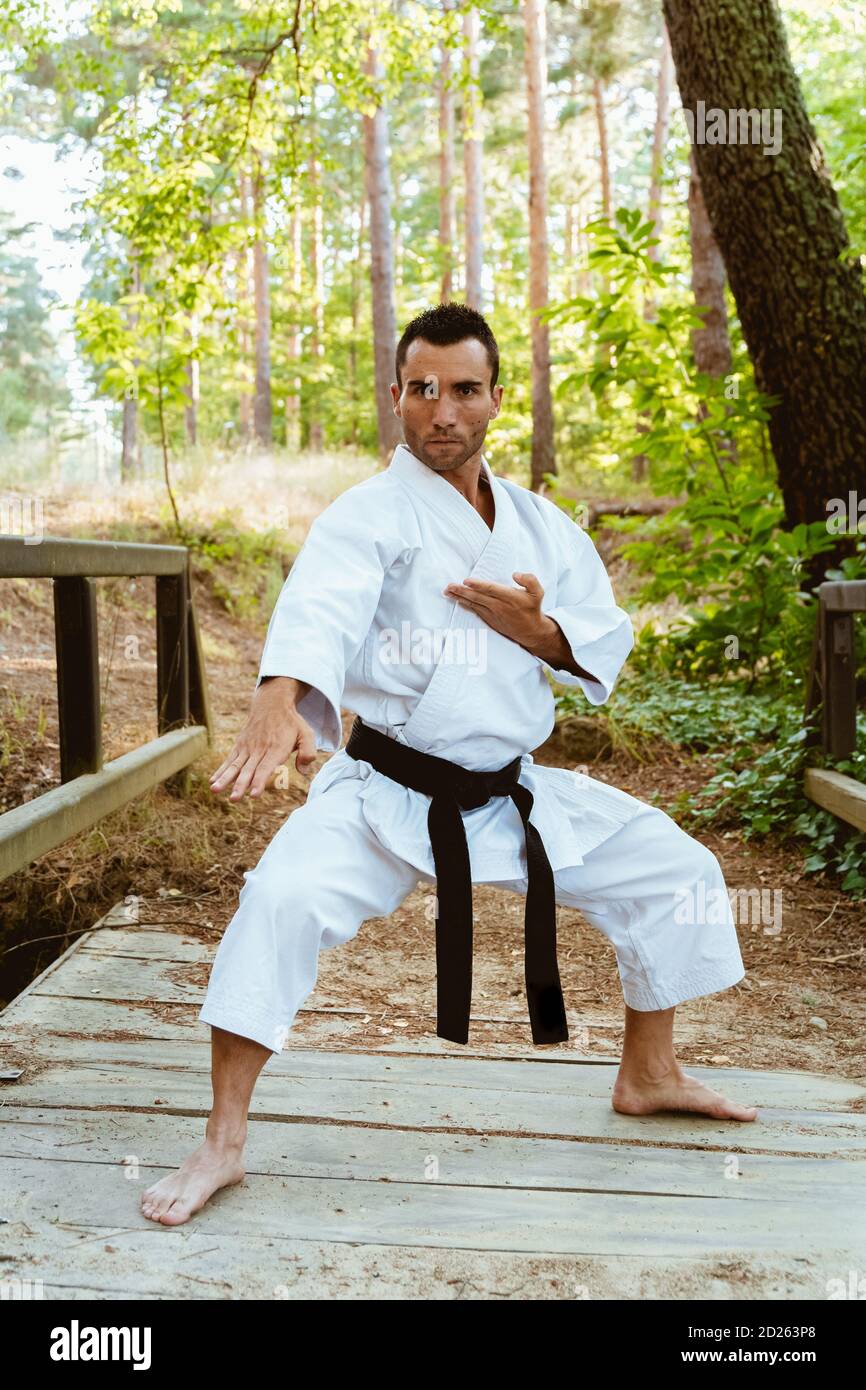 Uomo che pratica il karate in natura Foto Stock