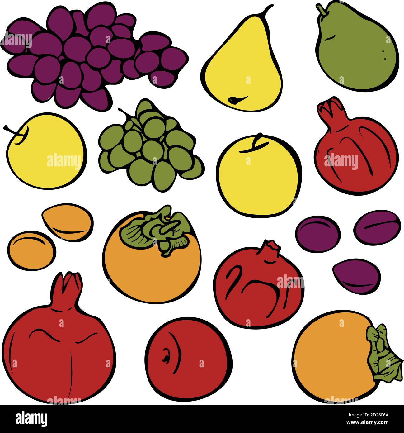 Insieme vettoriale di frutti diversi. Collezione di illustrazioni con uva, pere, mela, melograno, prugne, albicocche e persimmone. Illustrazione Vettoriale