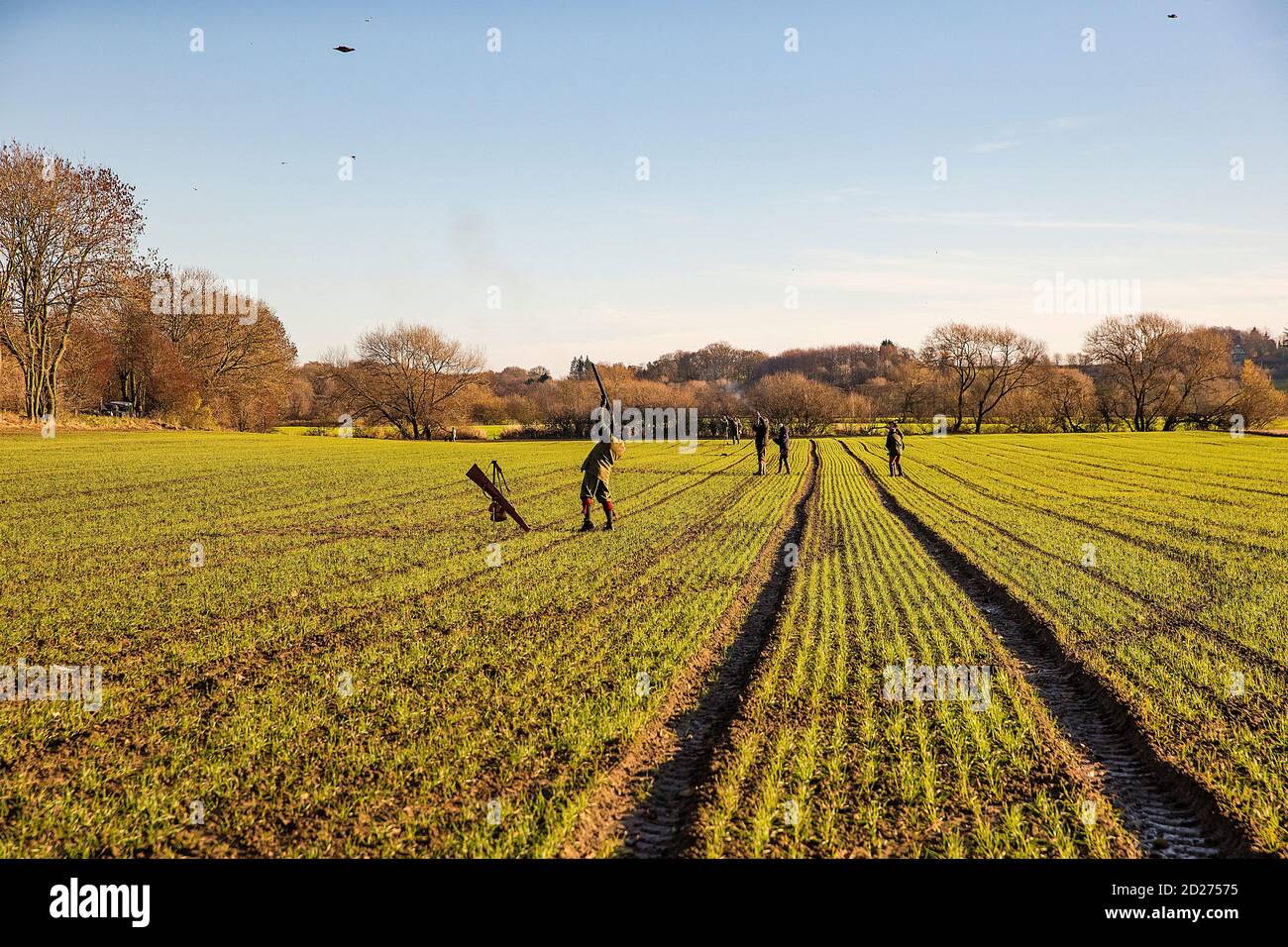 Caccia al fagiano guidato nel North Yorkshire, Inghilterra. Foto Stock