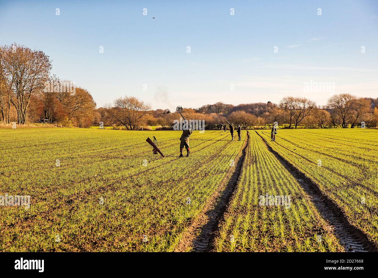 Caccia al fagiano guidato nel North Yorkshire, Inghilterra. Foto Stock