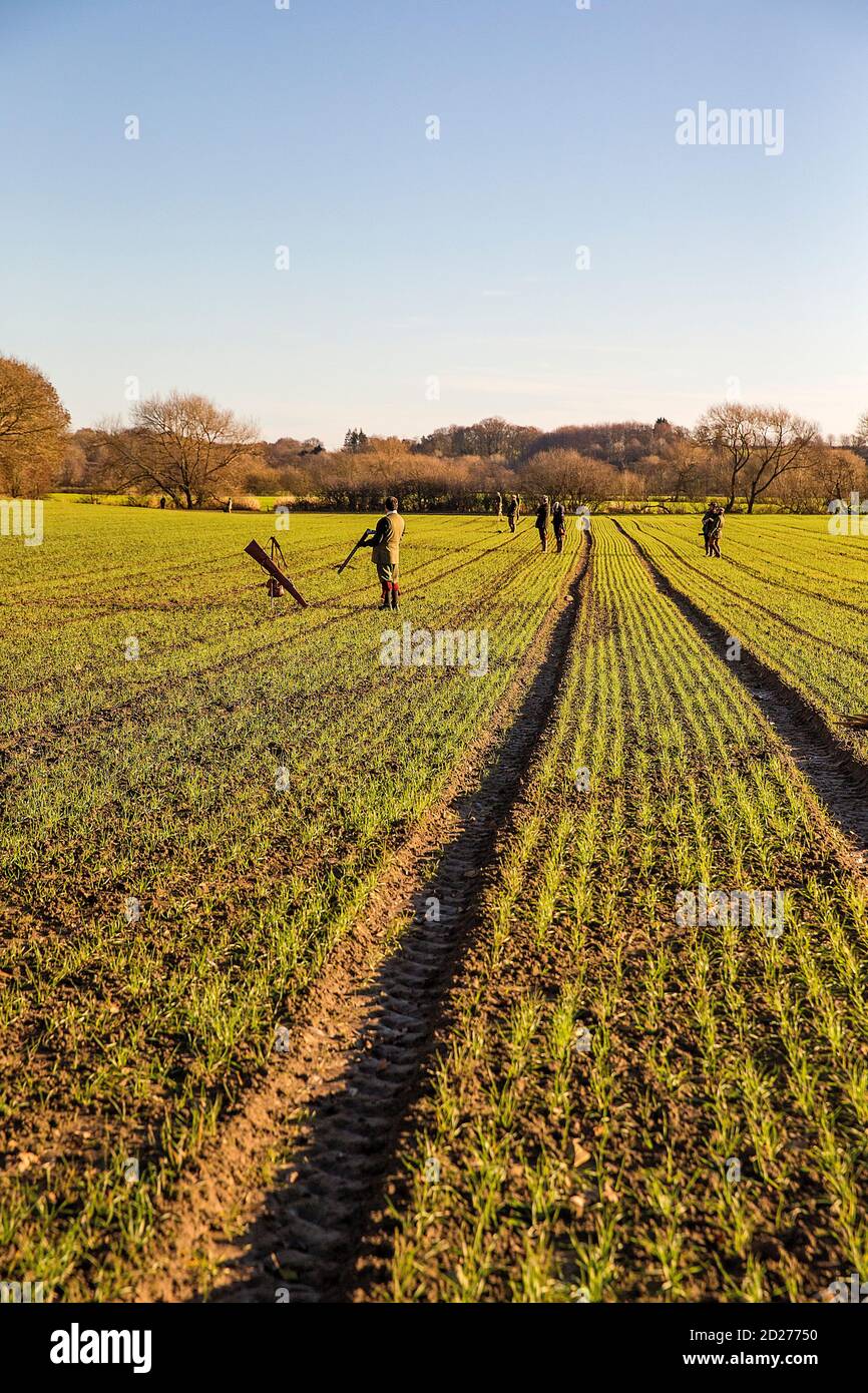 Caccia al fagiano guidato nel North Yorkshire, Inghilterra. Foto Stock