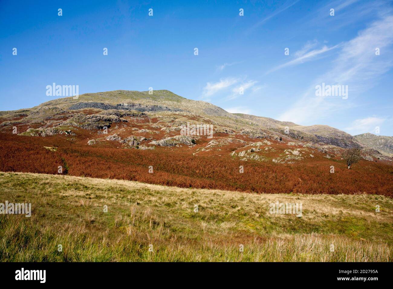 Una vista della faccia Sud del Vecchio Di Coniston da vicino Torver Alto comune Coniston Lake District Parco nazionale Cumbria Inghilterra Foto Stock