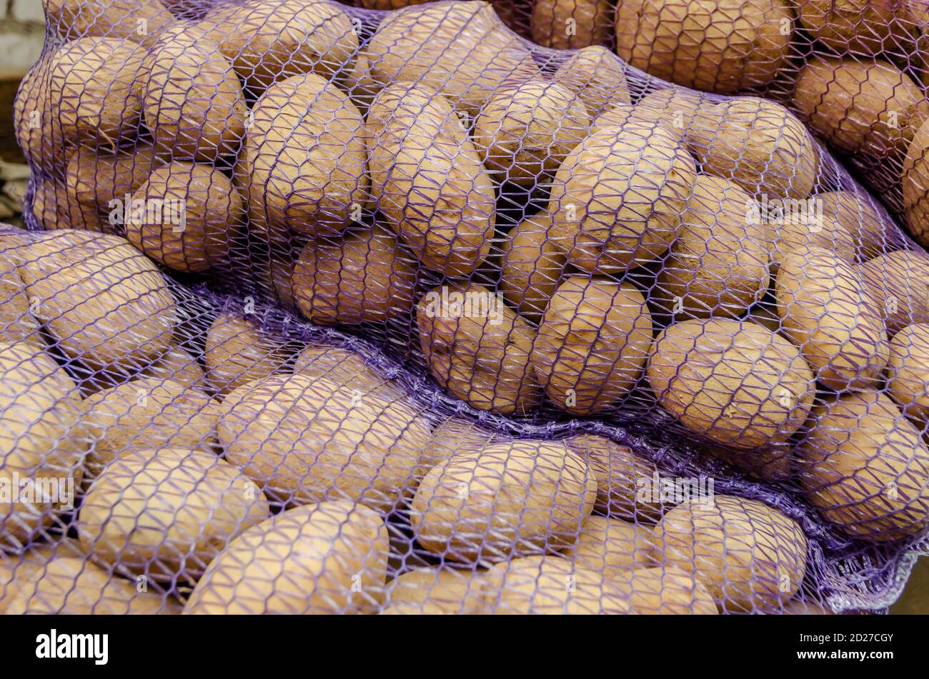 Patate in sacchetti di maglia viola al mercato agricolo. Griglia patate crude primo piano Foto Stock