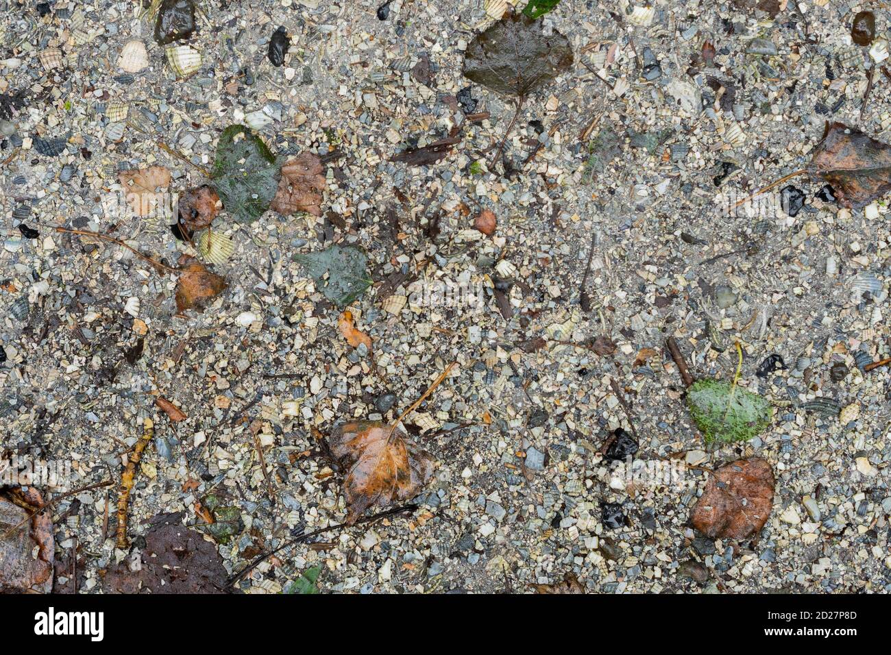 grunge pietra ruvida, ciottoli e sabbia percorso texture Foto Stock