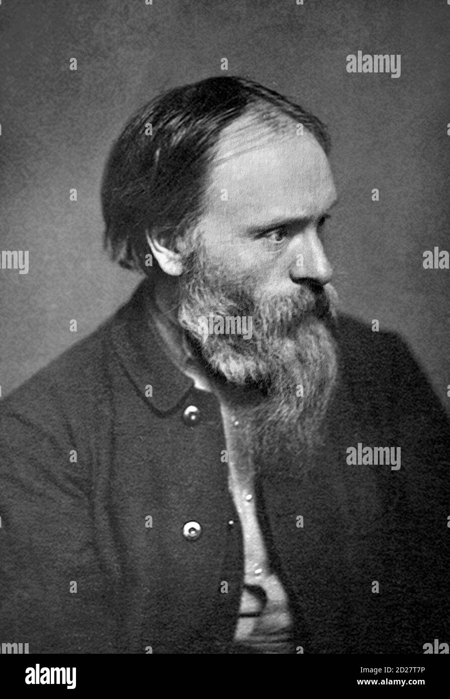 Edward Burne-Jones (1833-1898), ritratto di Frederick H. Hollyer, circa 1880-1890 Foto Stock