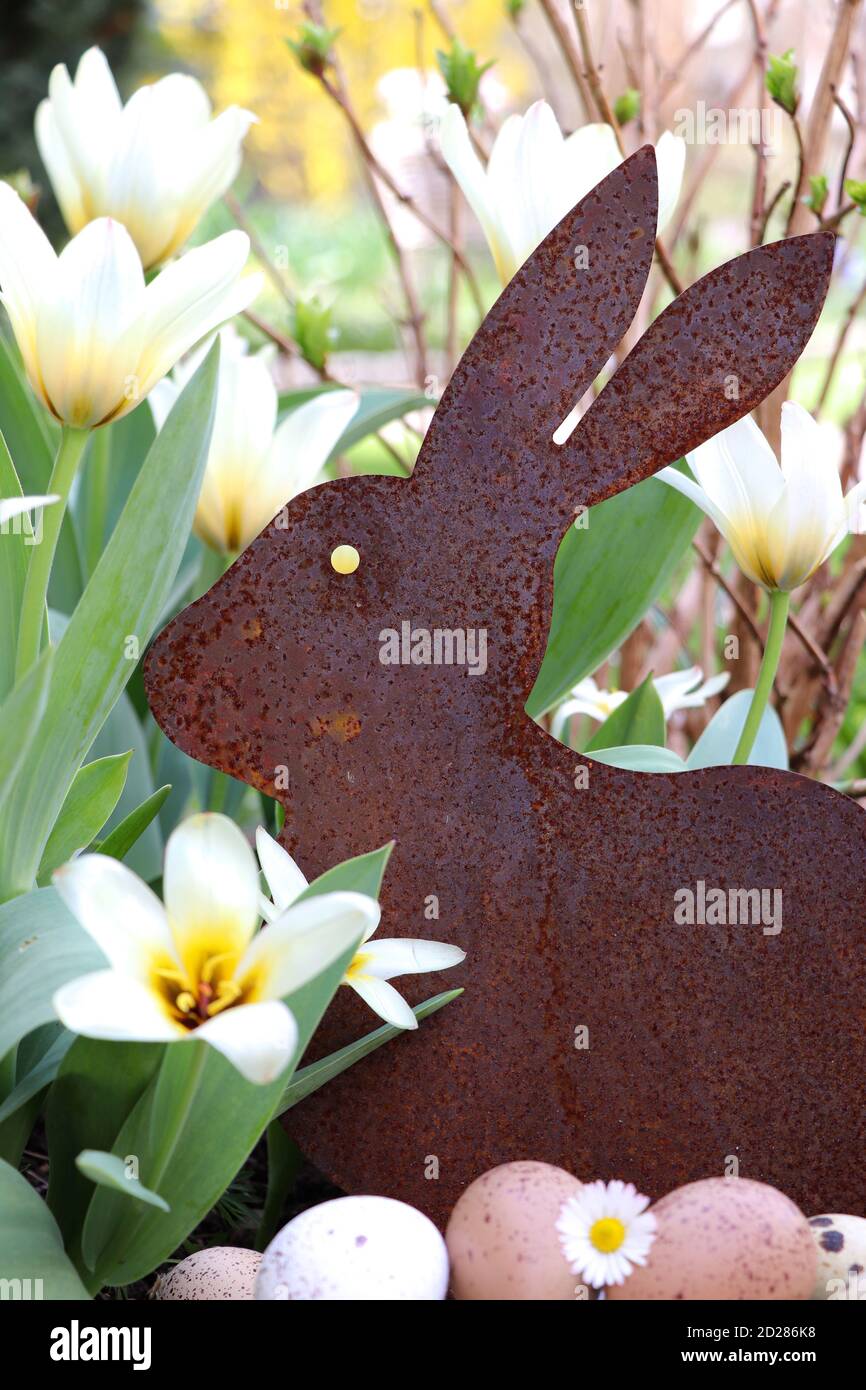 decorazione pasquale con ruggine coniglietto pasquale e tulipani bianchi Foto Stock