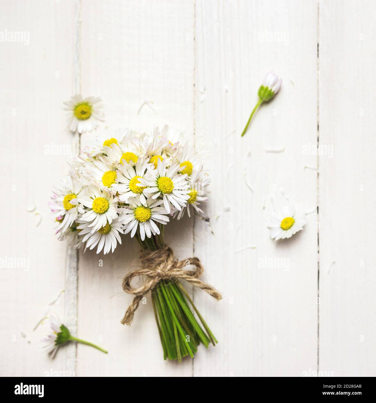 Bouquet di fiori bianchi margherita su uno sfondo rustico in legno, vista dall'alto con spazio per la copia. Foto Stock
