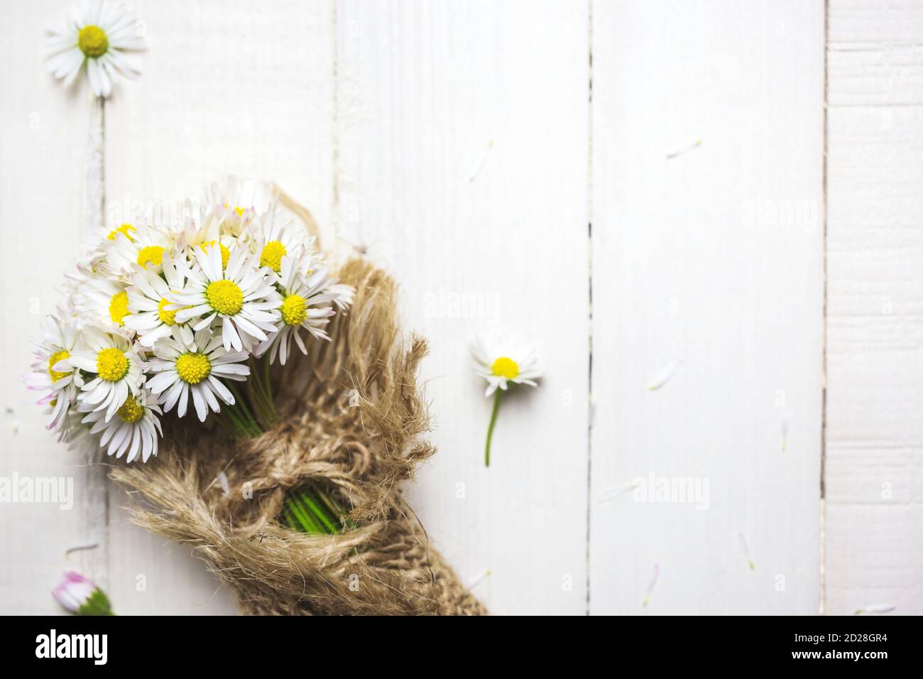 Bouquet di fiori bianchi margherita su uno sfondo rustico in legno, vista dall'alto con spazio per la copia. Foto Stock