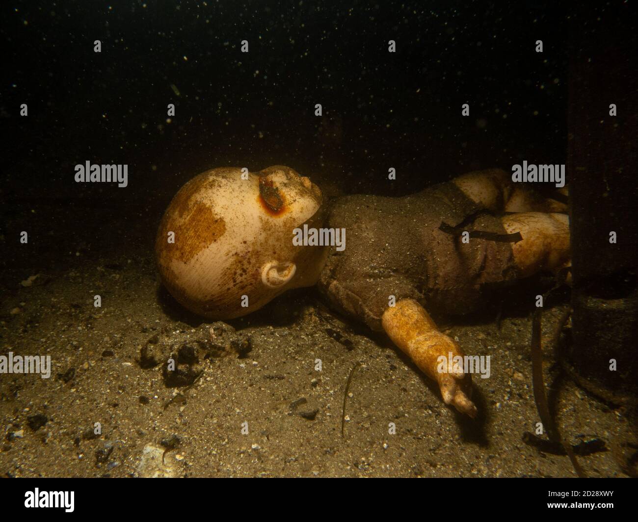 Una bambola spaventosa sott'acqua durante un'immersione in relitto. Foto dal suono fuori Malmo, Svezia meridionale Foto Stock