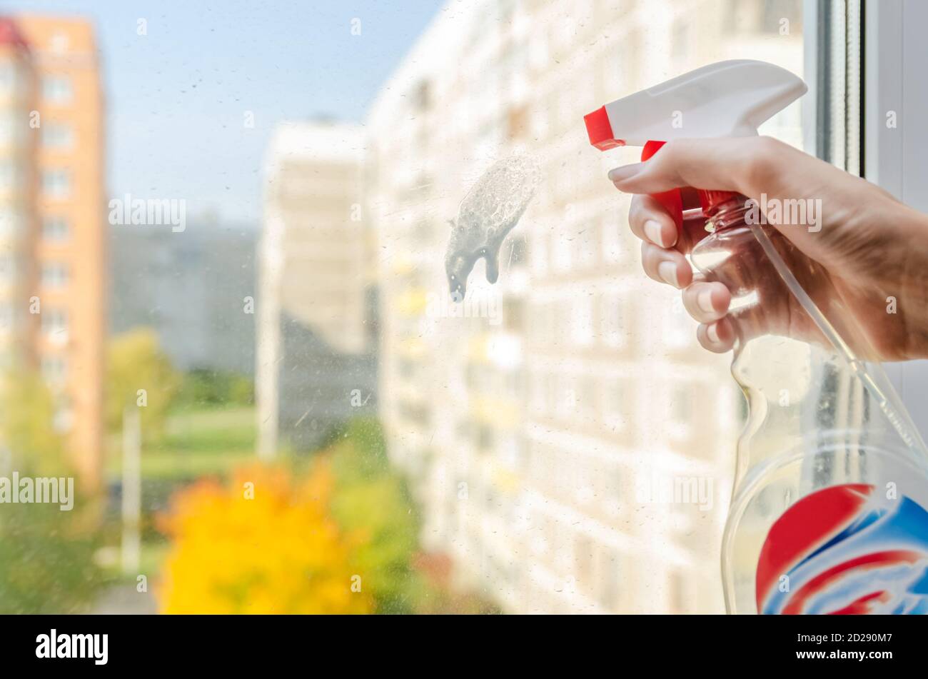 La mano della donna con un mezzo per lavare Windows pirskaet sopra la finestra e andare a lavarlo in autunno Giorno di sole Foto Stock