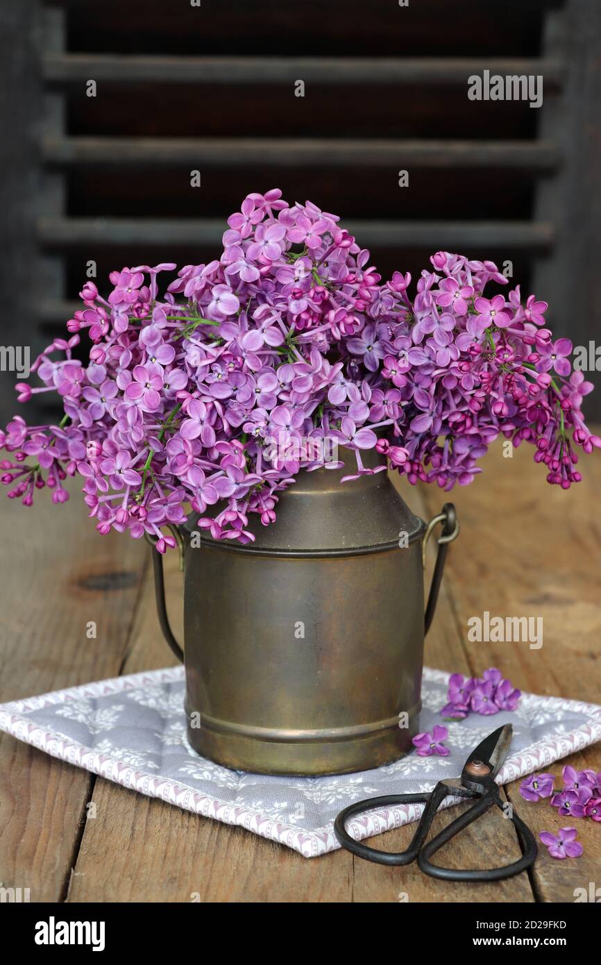 decorazione primaverile con bouquet di lilla in lattina di latte d'annata Foto Stock