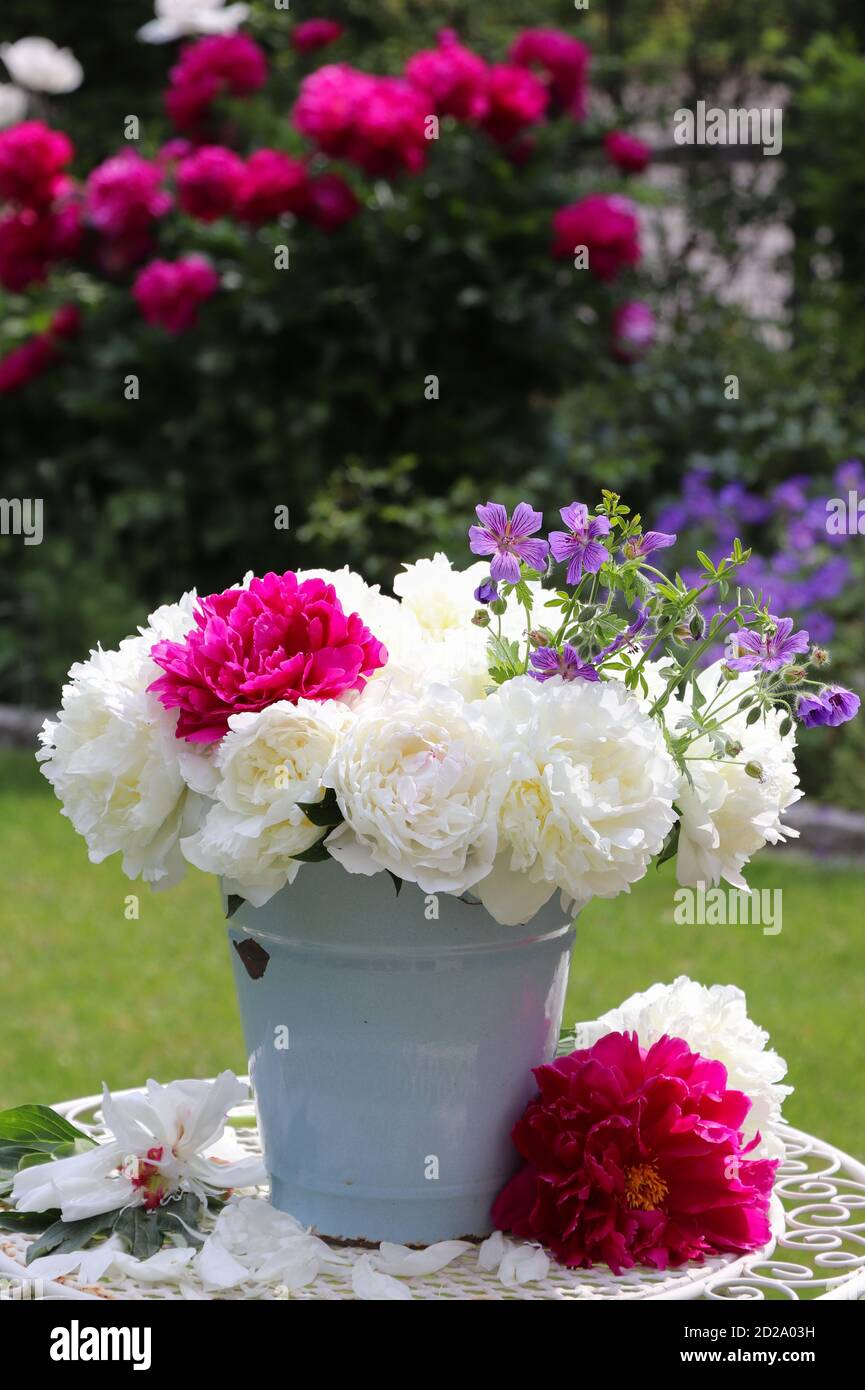 bouquet di fiori di pony bianchi e rosa in secchio d'annata Foto Stock